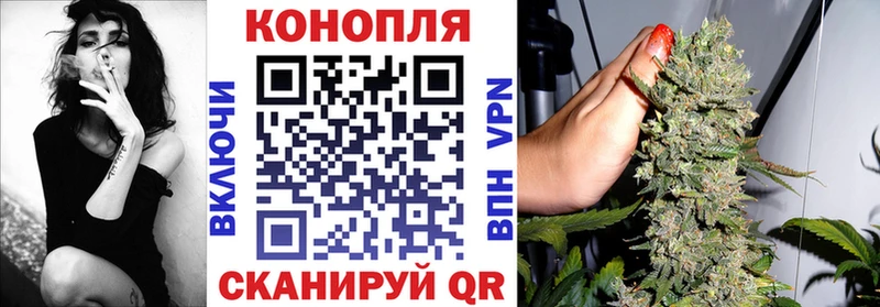 Купить Благодарный Каннабис SATIVA & INDICA